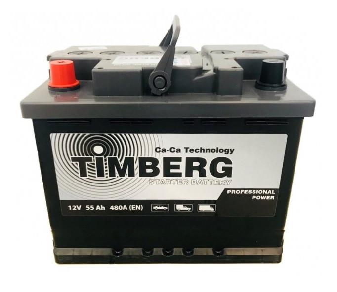 Рейтинг аккумуляторных производителей. АКБ 125 Timberg professional. Timberg аккумуляторы логотип. Аккумулятор изготовитель ООО стеко.