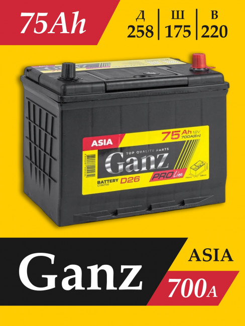 Аккумулятор Авто (Asia) Ganz PRO-Line 75Ач R+(обратная полярность) 700A 258*175*220 G1180750
