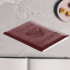 Обложка для паспорта SMLD Россия бордовая 1256670
