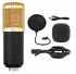 Микрофон SPI BM800 золотой IS000409
